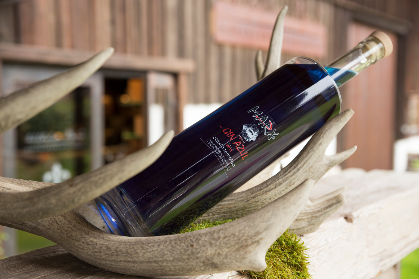 XXL 3l. Flasche Gin Azul von Wilhelm Marx